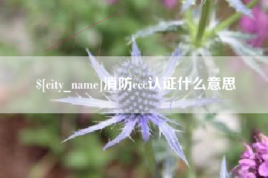 双峰消防ccc认证什么意思