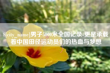 双峰男子5000米全国记录-更是承载着中国田径运动员们的热血与梦想