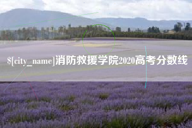 双峰消防救援学院2020高考分数线