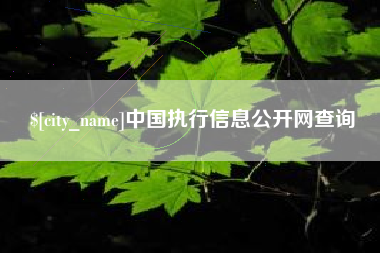 双峰中国执行信息公开网查询