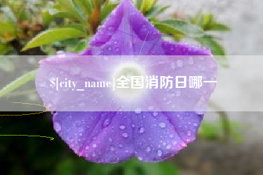 双峰全国消防日哪一