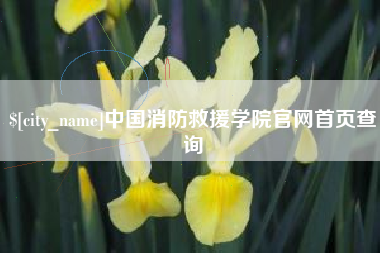 双峰中国消防救援学院官网首页查询