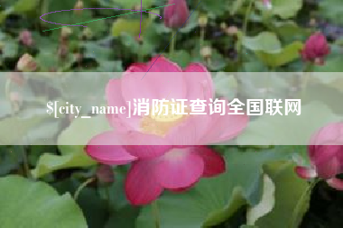 双峰消防证查询全国联网