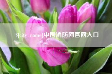 双峰中国消防网官网入口