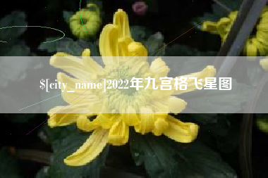 双峰2022年九宫格飞星图