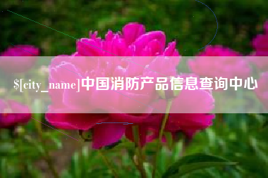 双峰中国消防产品信息查询中心