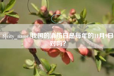 双峰我国的消防日是每年的11月9日对吗？