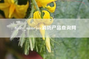 双峰ccc消防产品查询网