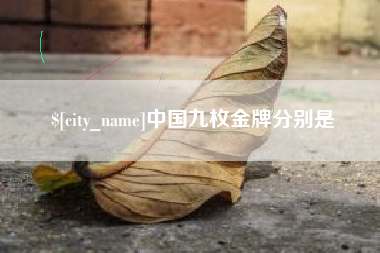 双峰中国九枚金牌分别是