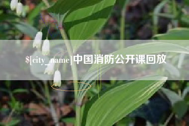 双峰中国消防公开课回放