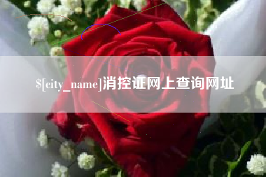 双峰消控证网上查询网址