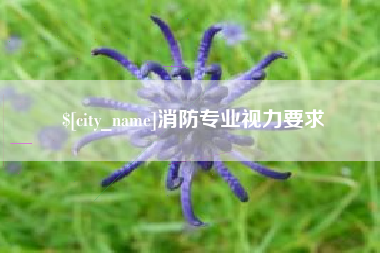 双峰消防专业视力要求