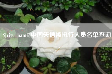 双峰中国失信被执行人员名单查询