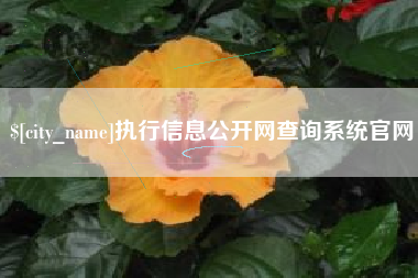 双峰执行信息公开网查询系统官网