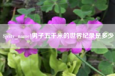 双峰男子五千米的世界纪录是多少