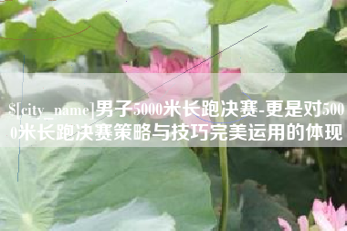 双峰男子5000米长跑决赛-更是对5000米长跑决赛策略与技巧完美运用的体现