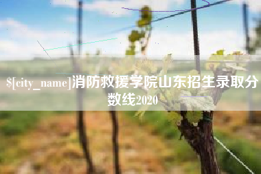 双峰消防救援学院山东招生录取分数线2020