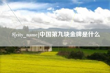 双峰中国第九块金牌是什么