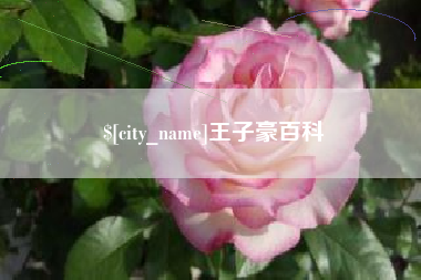 双峰王子豪百科