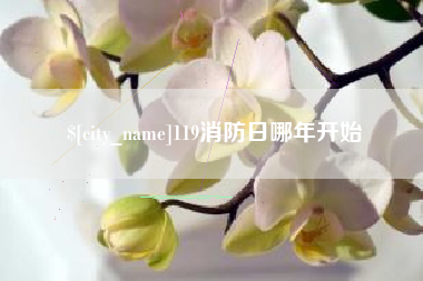 双峰119消防日哪年开始