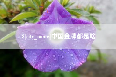 双峰中国金牌都是啥