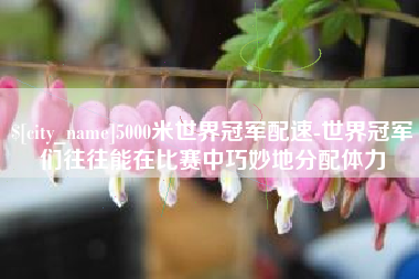 双峰5000米世界冠军配速-世界冠军们往往能在比赛中巧妙地分配体力
