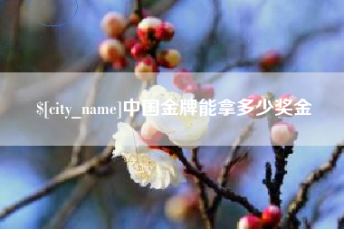 双峰中国金牌能拿多少奖金