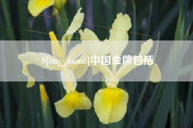 双峰中国金牌包括