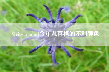 双峰今年九宫格的不利颜色