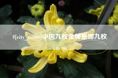 双峰中国九枚金牌是哪九枚