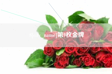 双峰第9枚金牌