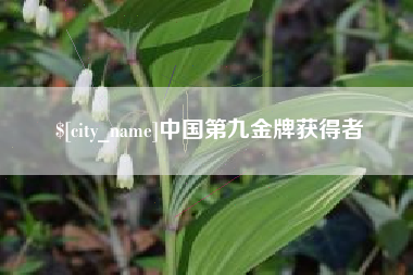 双峰中国第九金牌获得者
