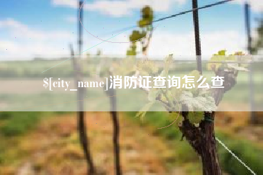 双峰消防证查询怎么查