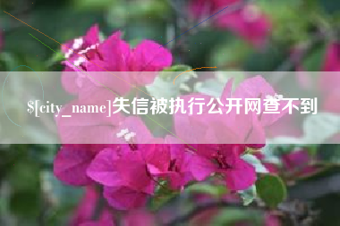 双峰失信被执行公开网查不到