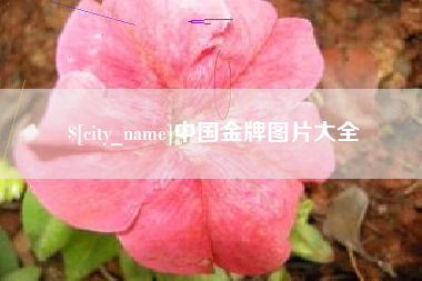 双峰中国金牌图片大全