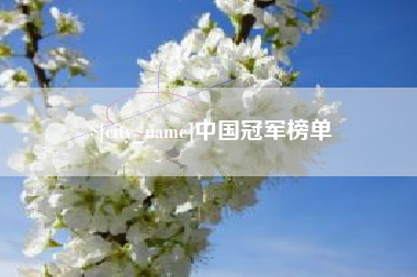 双峰中国冠军榜单