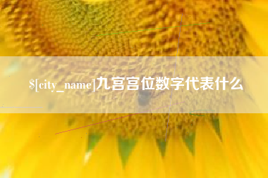 双峰九宫宫位数字代表什么