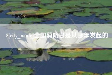双峰全国消防日是从哪年发起的