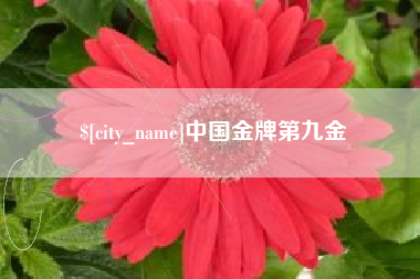 双峰中国金牌第九金