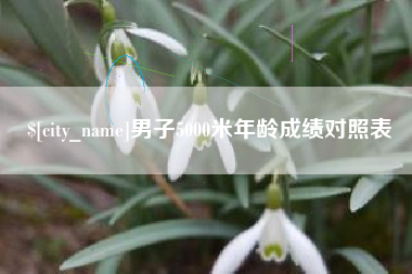 双峰男子5000米年龄成绩对照表