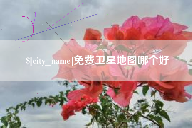 双峰免费卫星地图哪个好