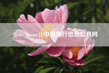 双峰1.中国执行信息公开网