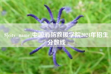 双峰中国消防救援学院2024年招生分数线