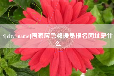 双峰国家应急救援员报名网址是什么