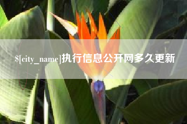 双峰执行信息公开网多久更新