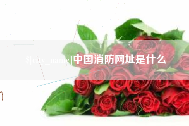 双峰中国消防网址是什么