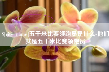 双峰五千米比赛领跑员是什么-他们就是五千米比赛领跑员