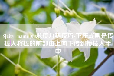 双峰60米接力赛技巧-下压式则是传棒人将棒的前部由上向下传到接棒人手中