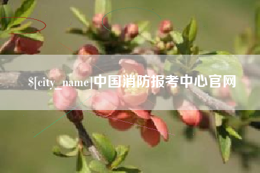 双峰中国消防报考中心官网