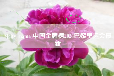 双峰中国金牌榜2024巴黎奥运会最新